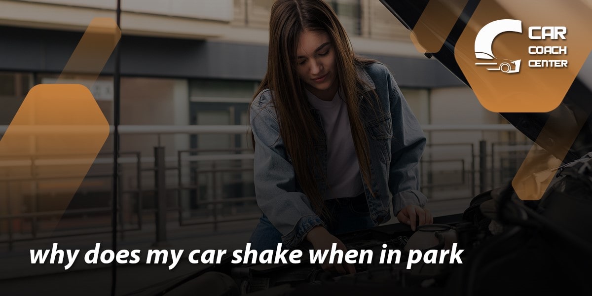 why does my car shake when in park