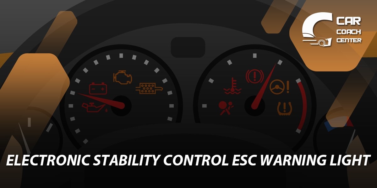 Electronic Stability Control (ESC) Warning Light